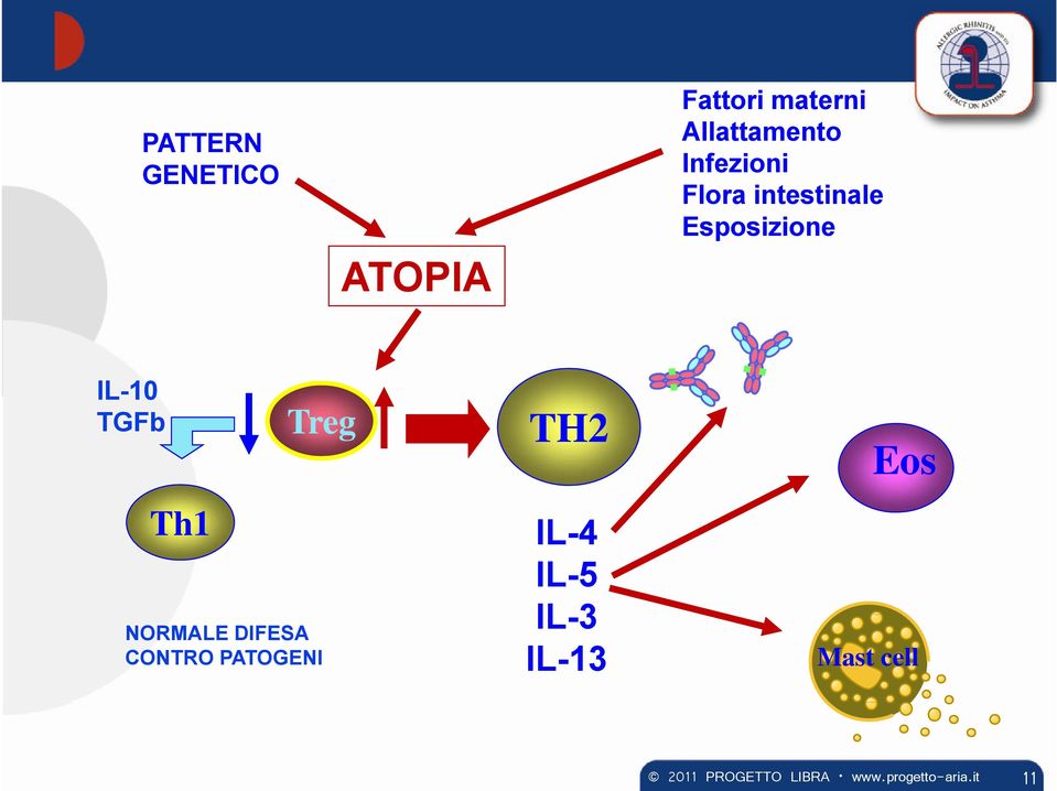 Esposizione IL-10 TGFb Th1 Treg NORMALE DIFESA