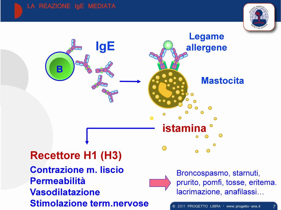 liscio Permeabilità Vasodilatazione Stimolazione term.