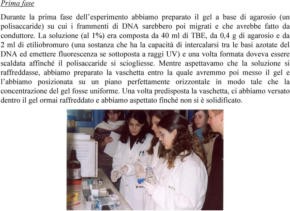 fluorescenza se sottoposta a raggi UV) e una volta formata doveva essere scaldata affinché il polisaccaride si sciogliesse.