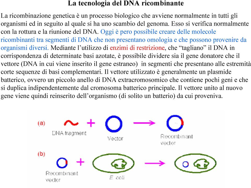 Oggi è pero possibile creare delle molecole ricombinanti tra segmenti di DNA che non presentano omologia e che possono provenire da organismi diversi.