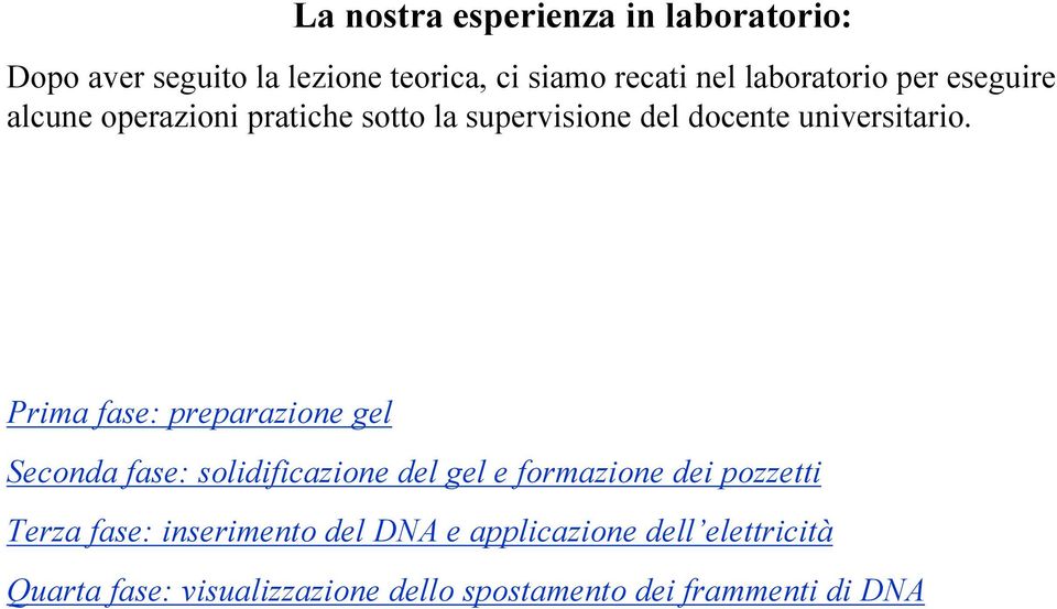 Prima fase: preparazione gel Seconda fase: solidificazione del gel e formazione dei pozzetti Terza fase: