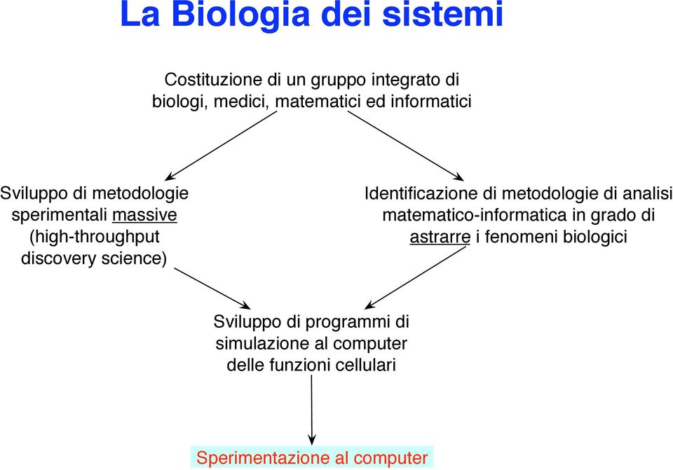 Identificazione di metodologie di analisi matematico-informatica in grado di astrarre i fenomeni