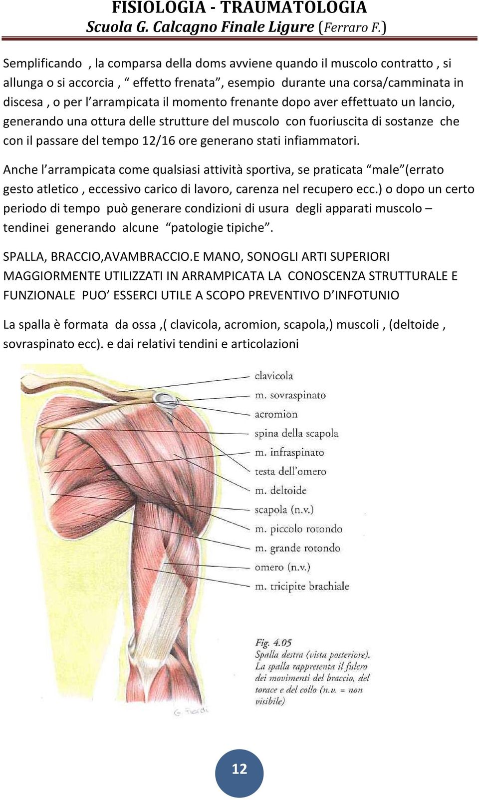 Anche l arrampicata come qualsiasi attività sportiva, se praticata male (errato gesto atletico, eccessivo carico di lavoro, carenza nel recupero ecc.