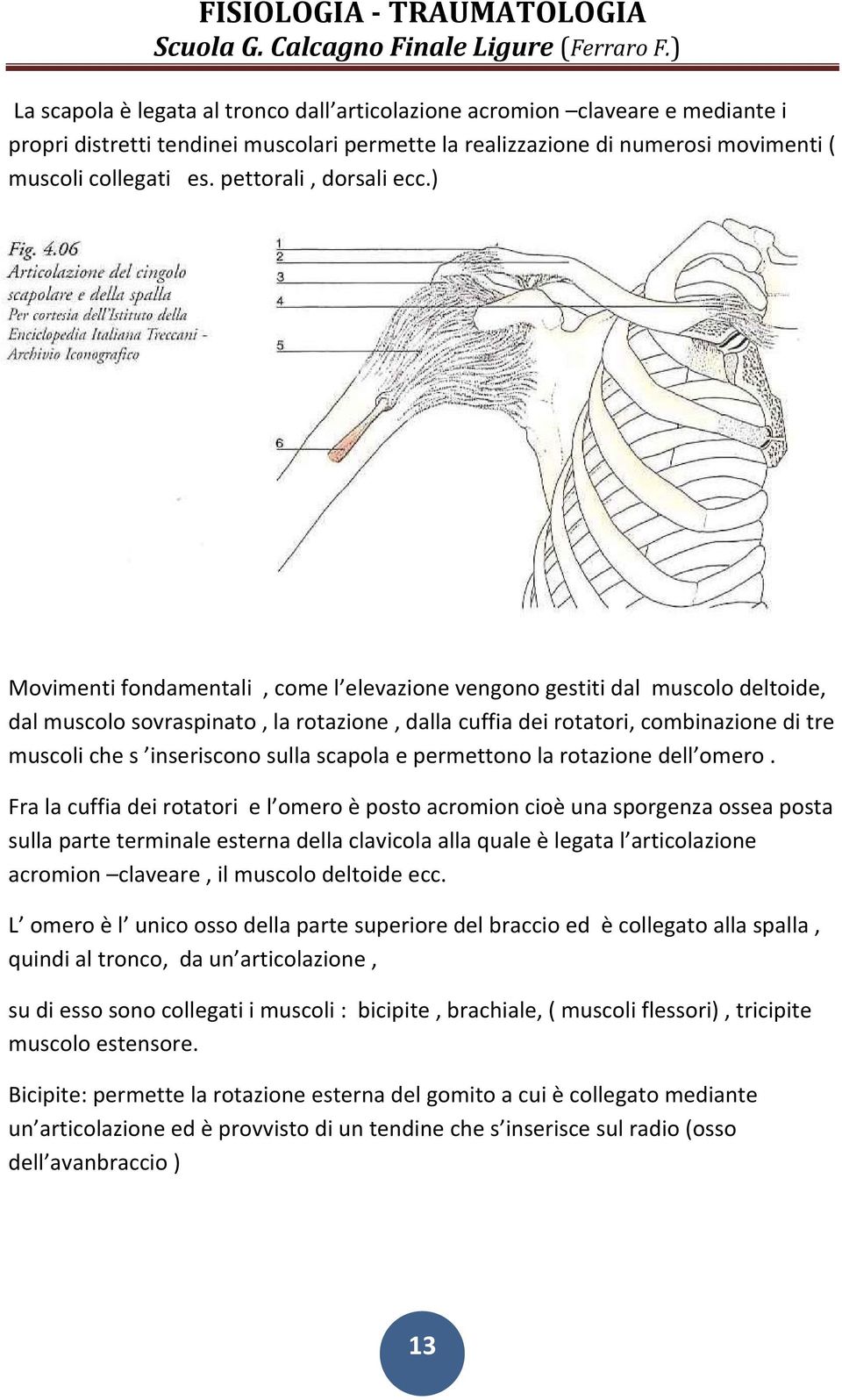 ) Movimenti fondamentali, come l elevazione vengono gestiti dal muscolo deltoide, dal muscolo sovraspinato, la rotazione, dalla cuffia dei rotatori, combinazione di tre muscoli che s inseriscono