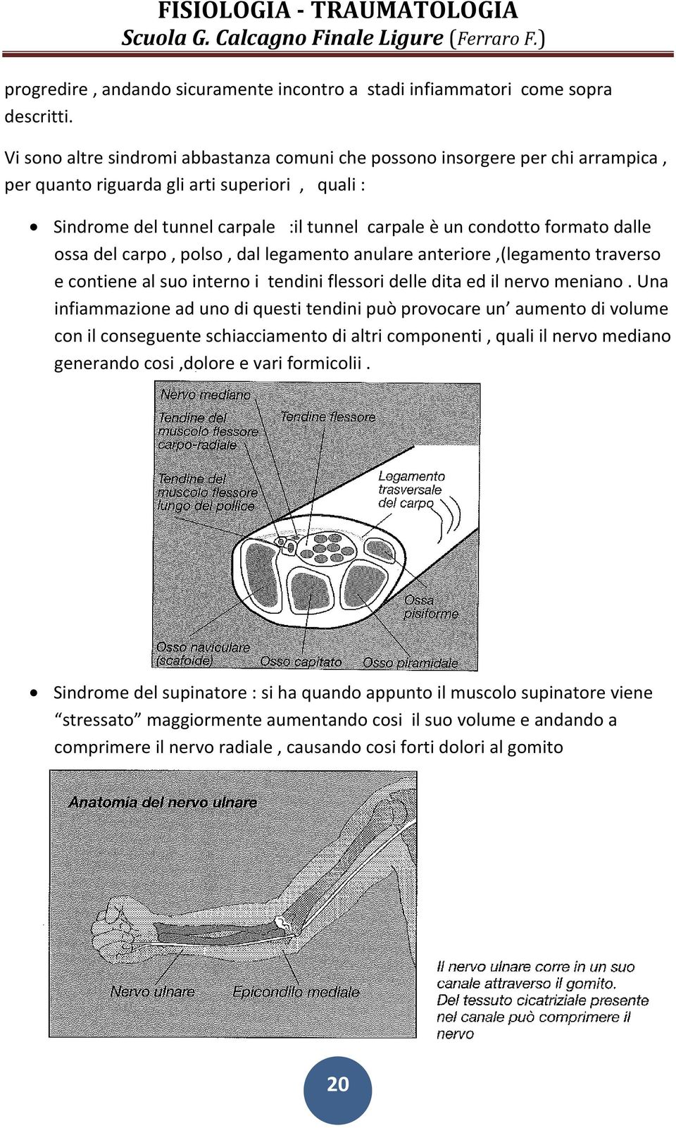 dalle ossa del carpo, polso, dal legamento anulare anteriore,(legamento traverso e contiene al suo interno i tendini flessori delle dita ed il nervo meniano.