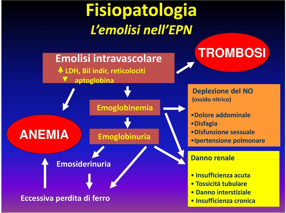 Deplezione del NO (ossido nitrico) Dolore addominale Disfagia Disfunzione sessuale Ipertensione