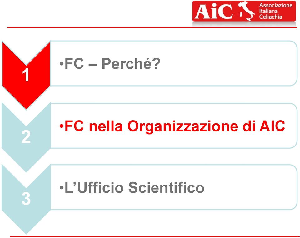 Organizzazione di