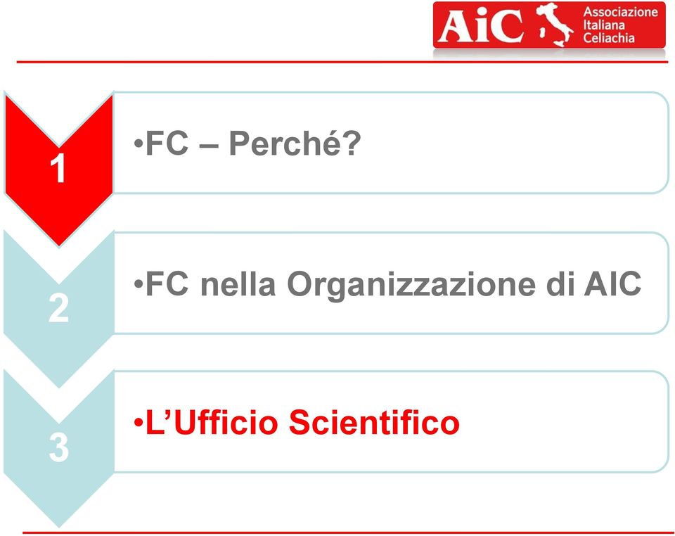 Organizzazione di