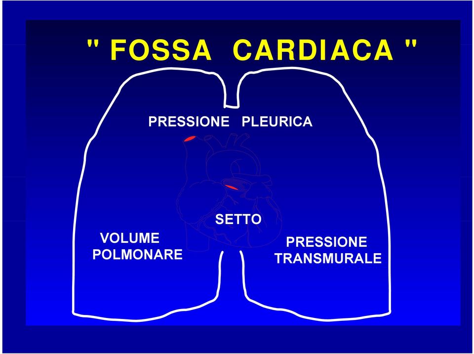 VOLUME POLMONARE