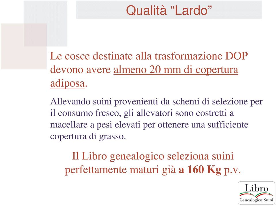 Allevando suini provenienti da schemi di selezione per il consumo fresco, gli allevatori