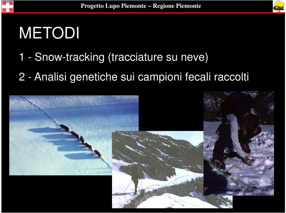 (tracciature t su neve) 2 -