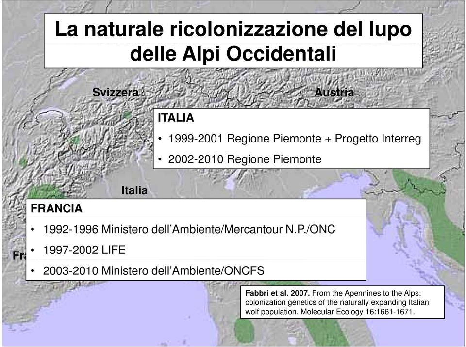 2007. From the Apennines to the Alps: colonization genetics of the naturally expanding Italian wolf population.