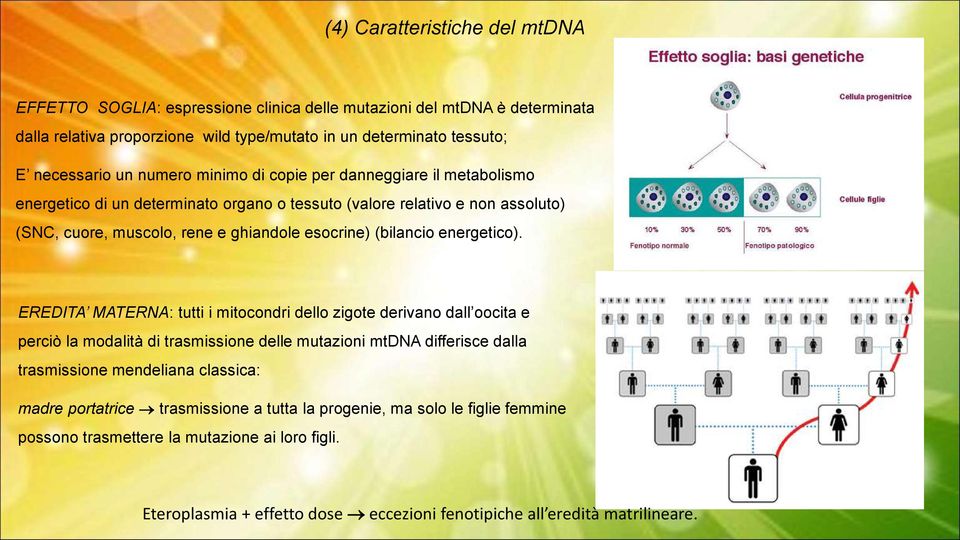 energetico).