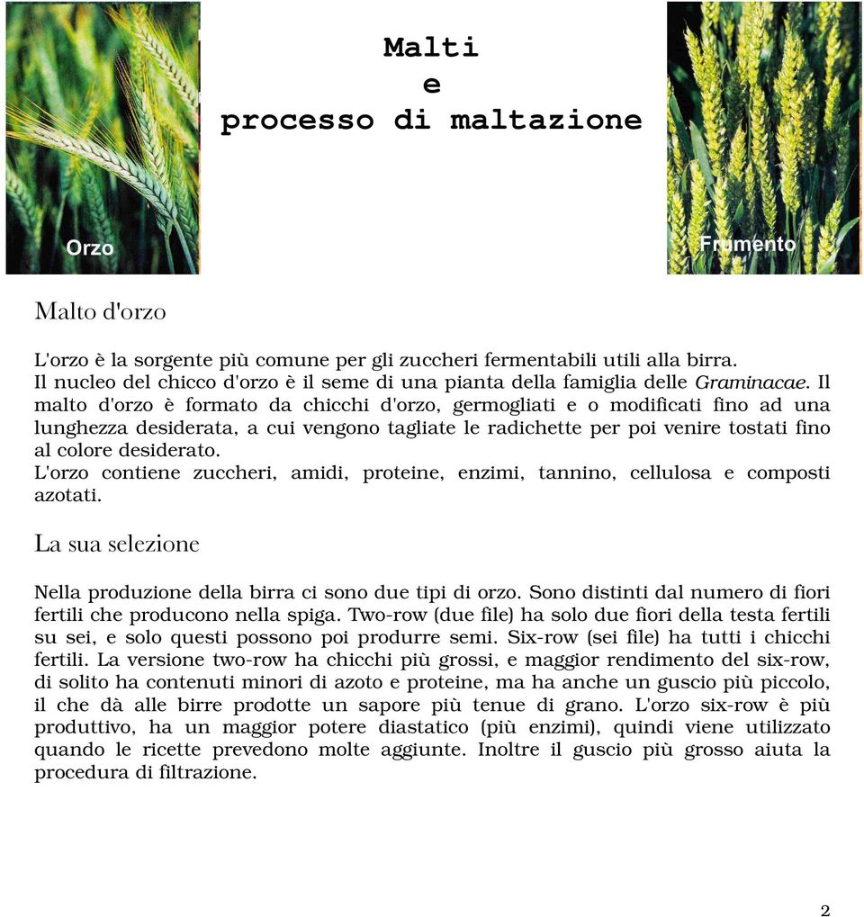 Il malto d'orzo è formato da chicchi d'orzo, germogliati e o modificati fino ad una lunghezza desiderata, a cui vengono tagliate le radichette per poi venire tostati fino al colore desiderato.