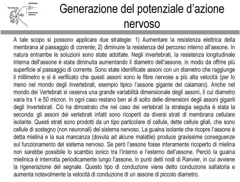 Negli inverterti, l resistenz longitudinle intern dell ssone è stt diminuit umentndo il dimetro dell ssone, in modo d offrire più superficie l pssggio di corrente.