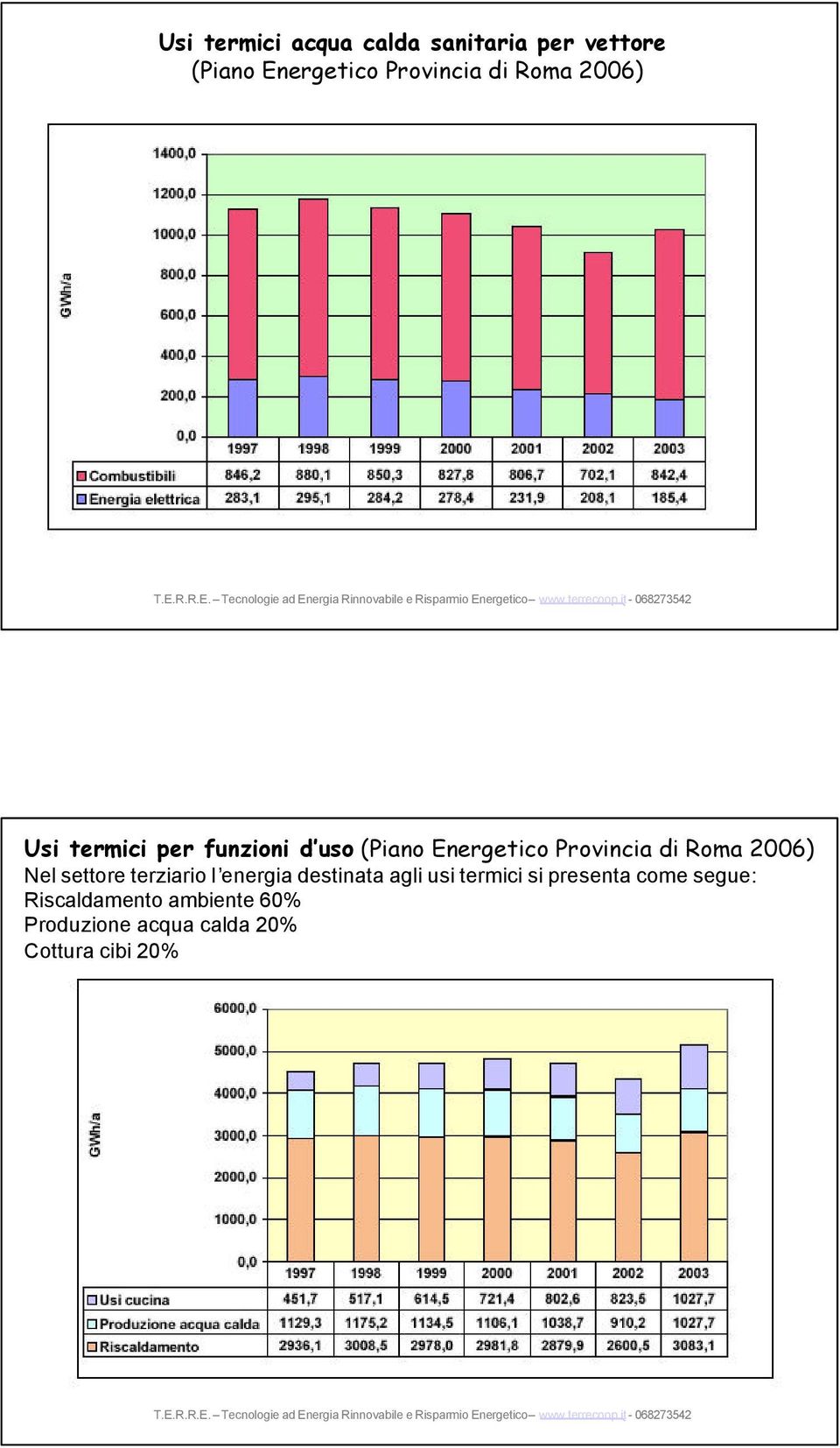 2006) Nel settore terziario l energia destinata agli usi termici si presenta