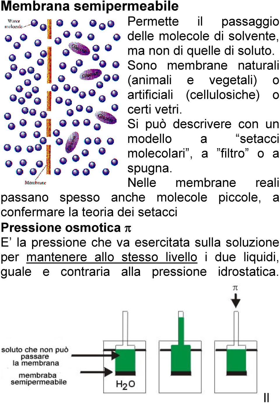 Si può descrivere con un modello a setacci molecolari, a filtro o a spugna.