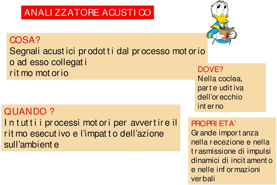 In tutti i processi motori per avvertire il ritmo esecutivo e l impatto dell azione sull ambiente