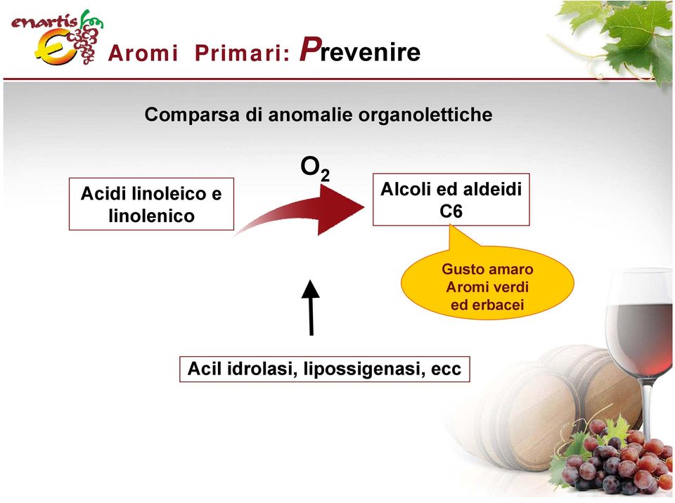 2 Alcoli ed aldeidi C6 Gusto amaro Aromi