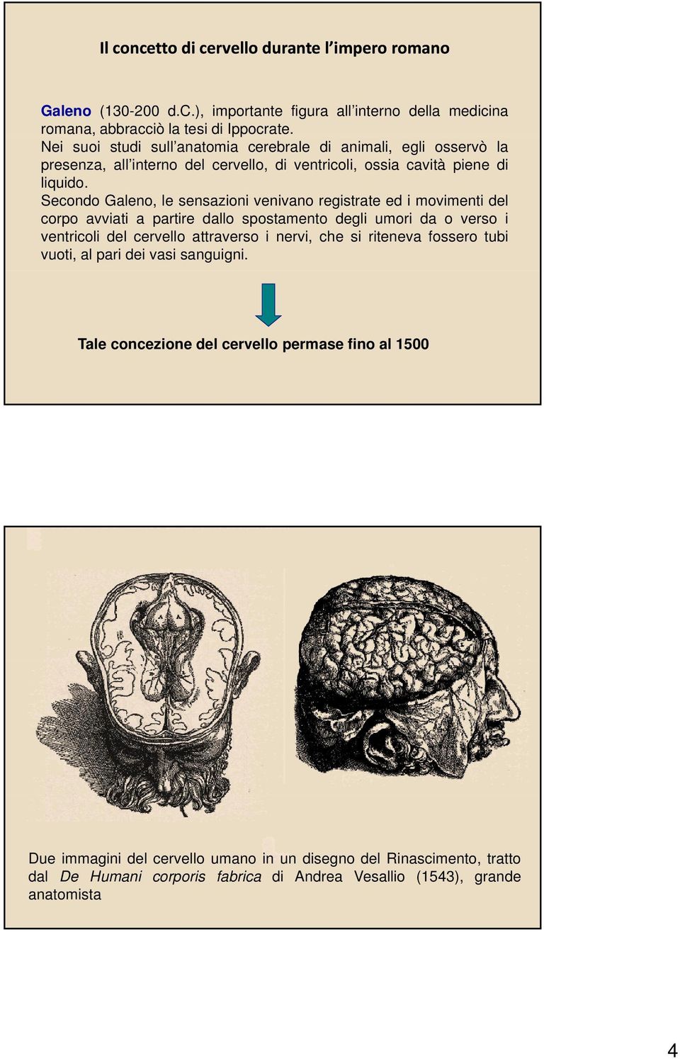 Secondo Galeno, le sensazioni venivano registrate ed i movimenti del corpo avviati a partire dallo spostamento degli umori da o verso i ventricoli del cervello attraverso i nervi, che si