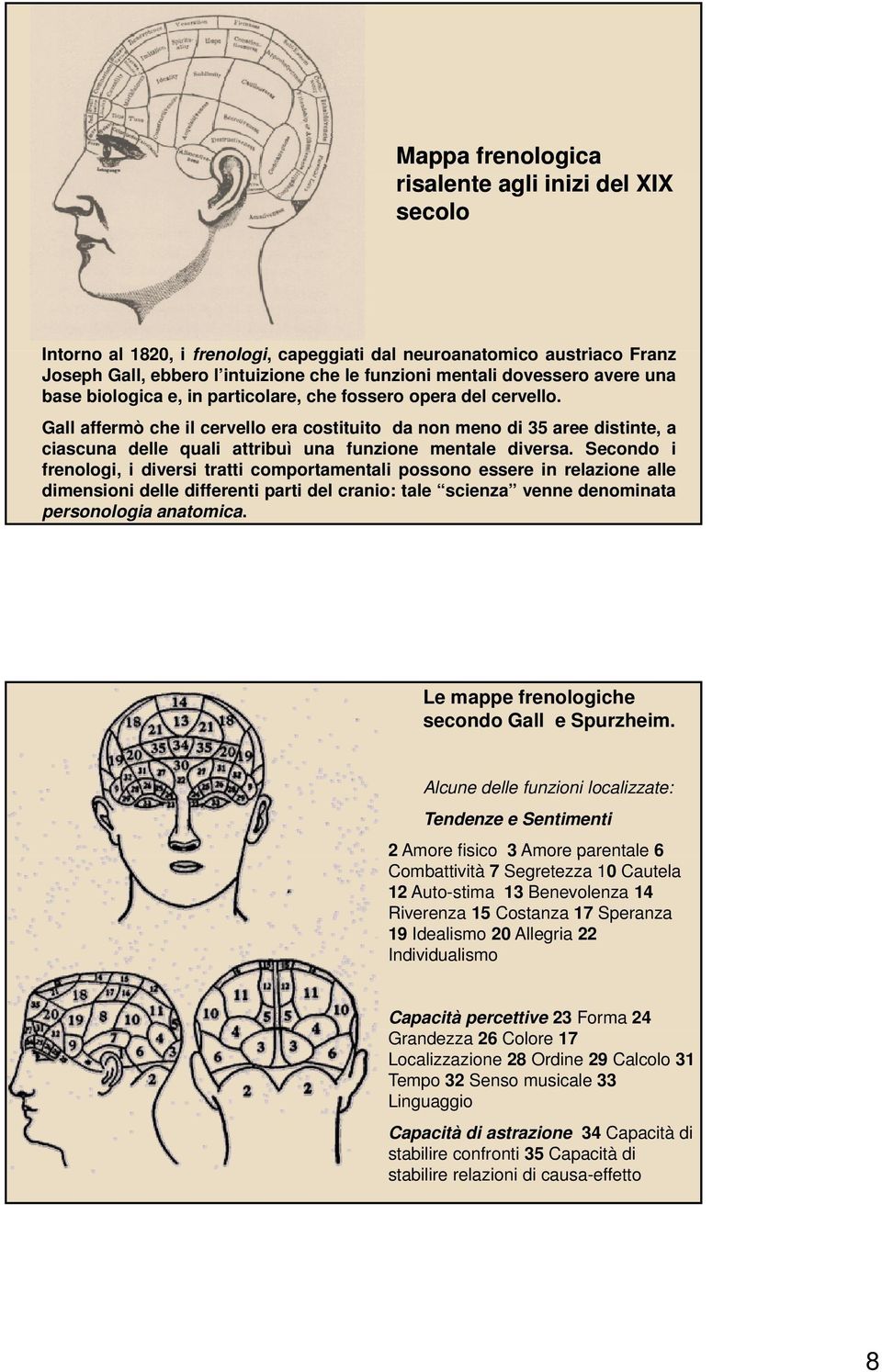 Gall affermò che il cervello era costituito da non meno di 35 aree distinte, a ciascuna delle quali attribuì una funzione mentale diversa.