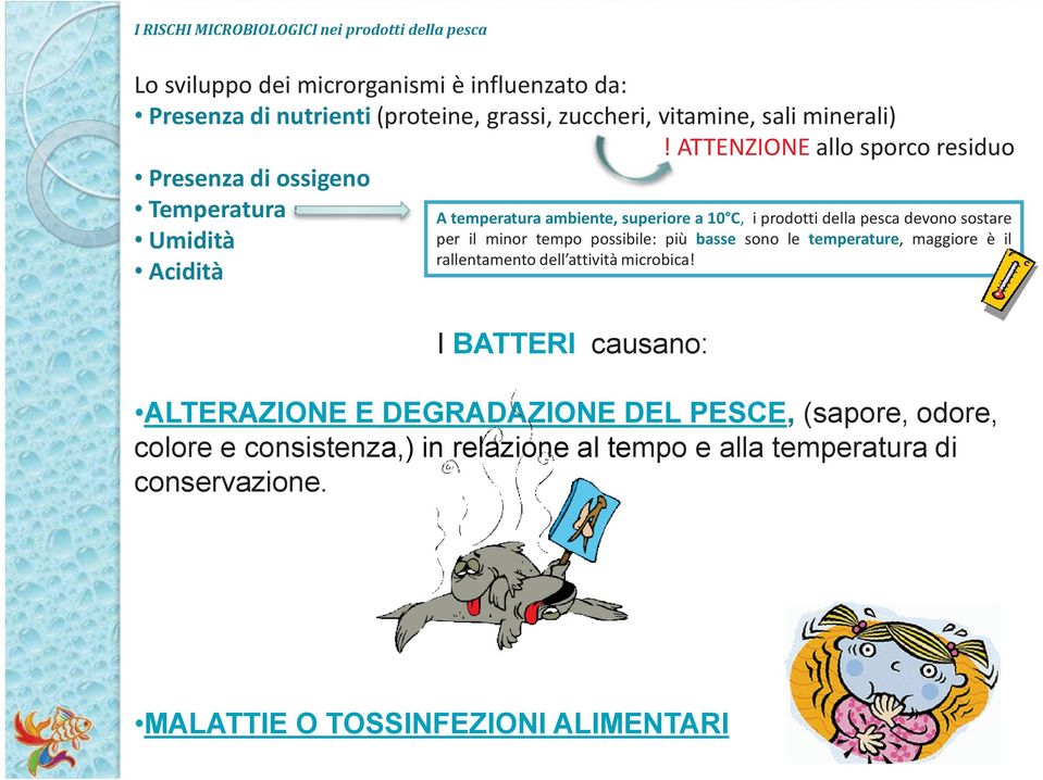 ATTENZIONE allo sporco residuo Presenza di ossigeno Temperatura A temperatura ambiente, superiore a 10 C, i prodotti della pesca devono sostare Umidità per il