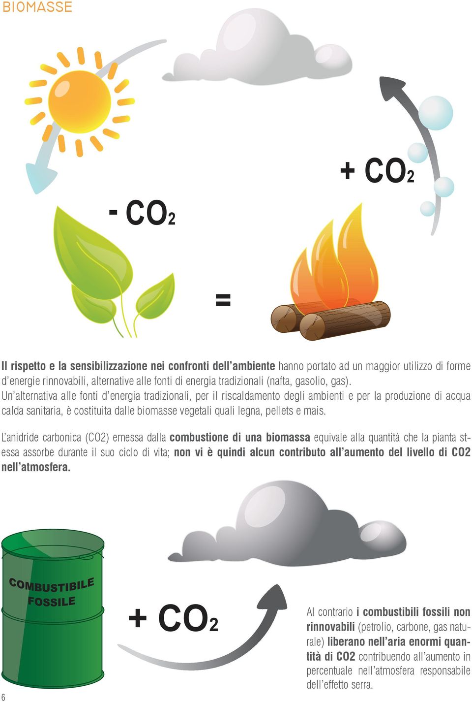 Un alternativa alle fonti d energia tradizionali, per il riscaldamento degli ambienti e per la produzione di acqua calda sanitaria, è costituita dalle biomasse vegetali quali legna, pellets e mais.