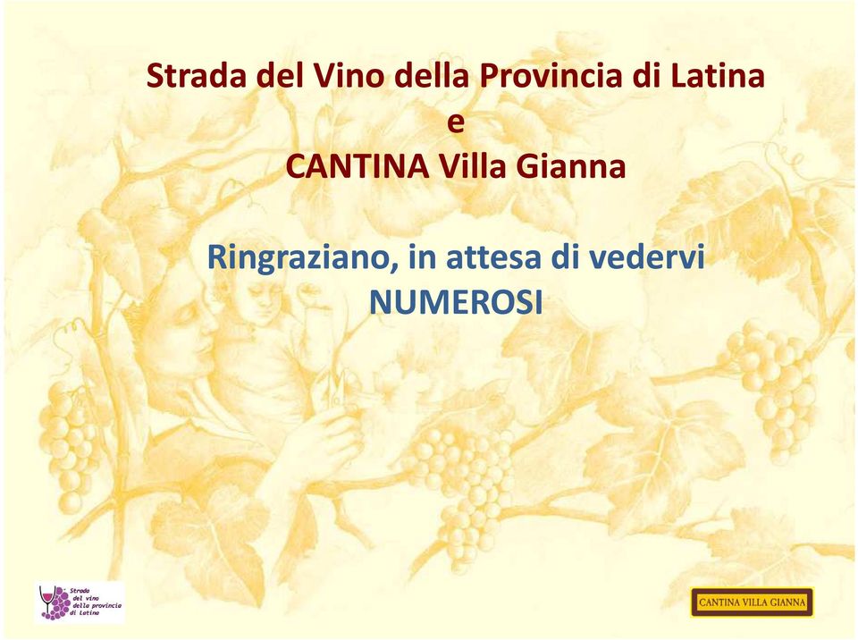 CANTINA Villa Gianna