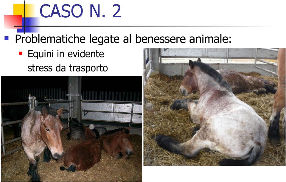 al benessere animale: