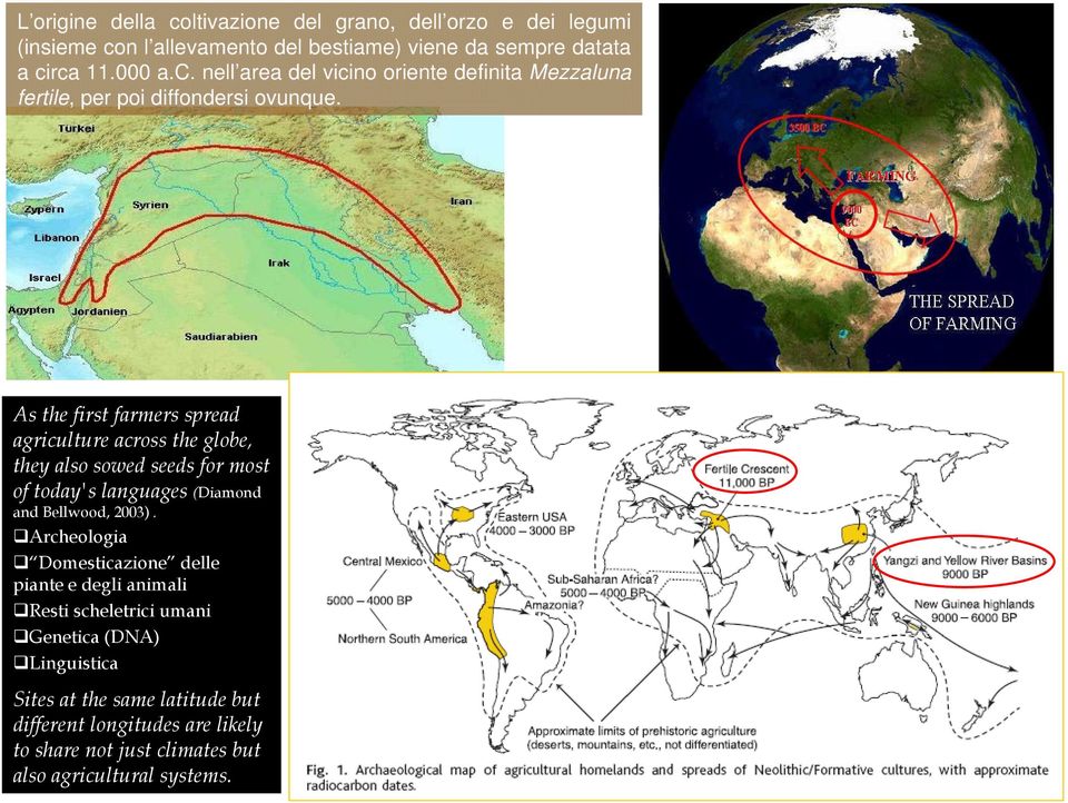 Archeologia Domesticazione delle piante e degli animali Resti scheletrici umani Genetica (DNA) Linguistica Sites at the same latitude but different