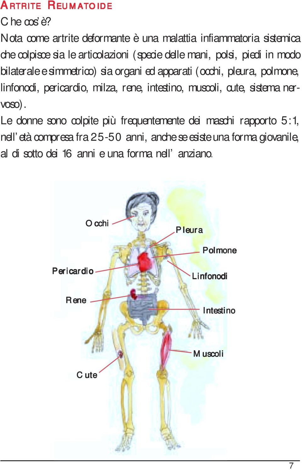 bilaterale e simmetrico) sia organi ed apparati (occhi, pleura, polmone, linfonodi, pericardio, milza, rene, intestino, muscoli, cute, sistema