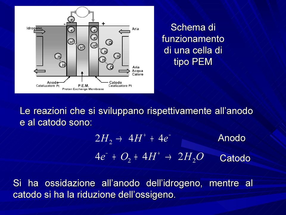 + 4e + 4e + O + 4H H O Anodo Catodo Si ha ossidazione all anodo