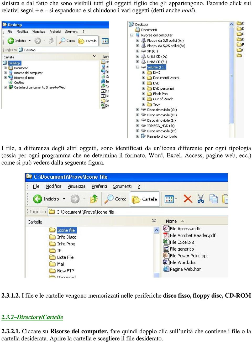 I file, a differenza degli altri oggetti, sono identificati da un icona differente per ogni tipologia (ossia per ogni programma che ne determina il formato, Word, Excel, Access,