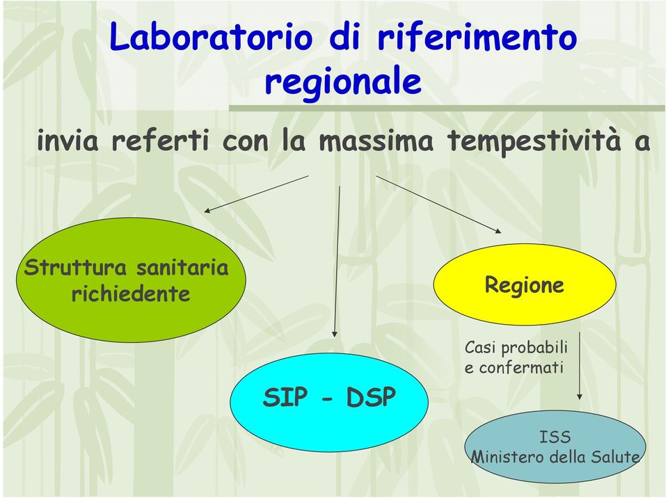 sanitaria richiedente Regione Regione SIP - DSP