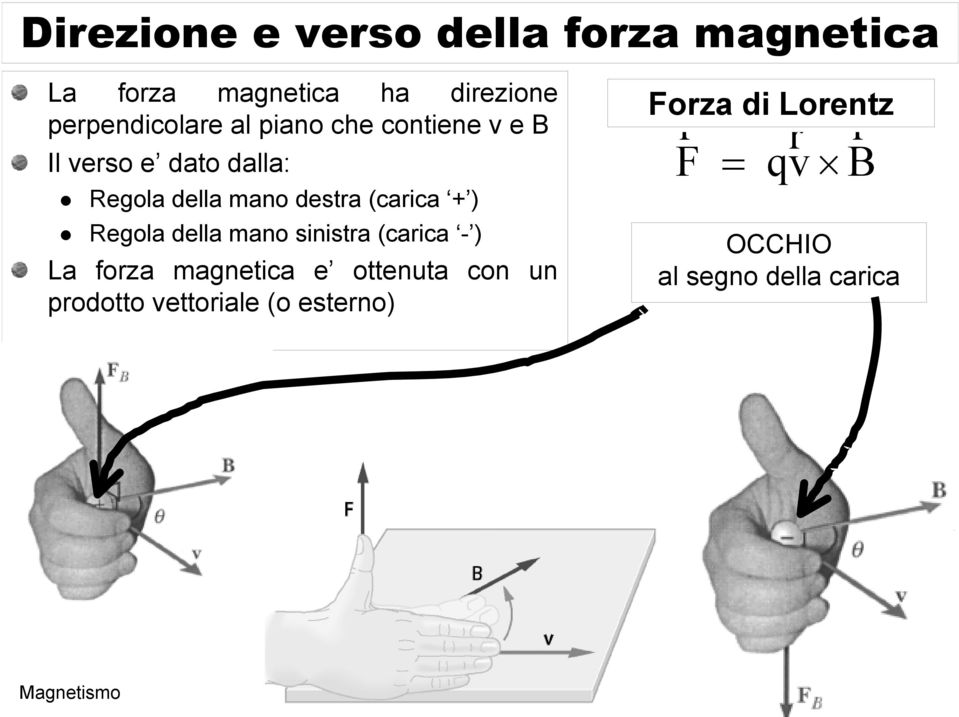 della mano sinistra (carica - ) La forza magnetica e ottenuta con un prodotto vettoriale (o