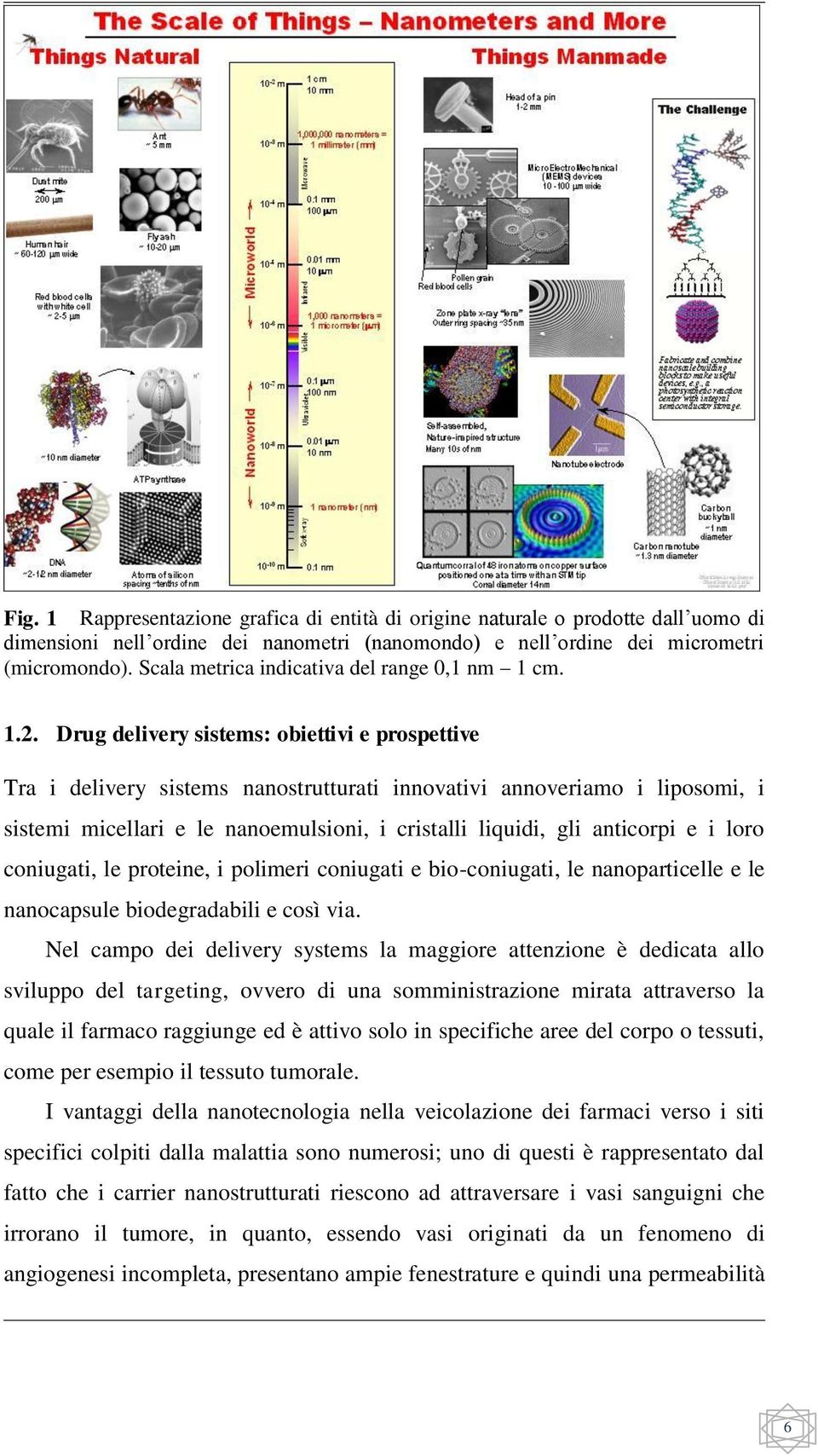 Drug delivery sistems: obiettivi e prospettive Tra i delivery sistems nanostrutturati innovativi annoveriamo i liposomi, i sistemi micellari e le nanoemulsioni, i cristalli liquidi, gli anticorpi e i