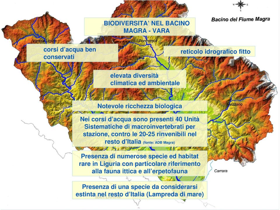 contro le 20-25 rinvenibili nel resto d Italia (fonte: ADB Magra) Presenza di numerose specie ed habitat rare in Liguria con