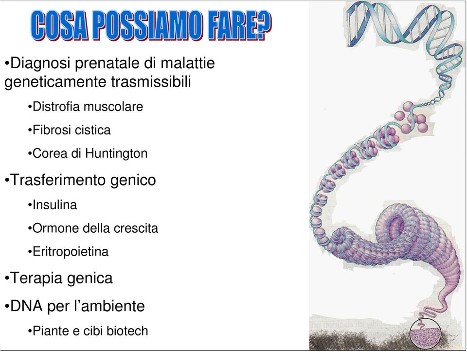 Trasferimento genico Insulina Ormone della crescita