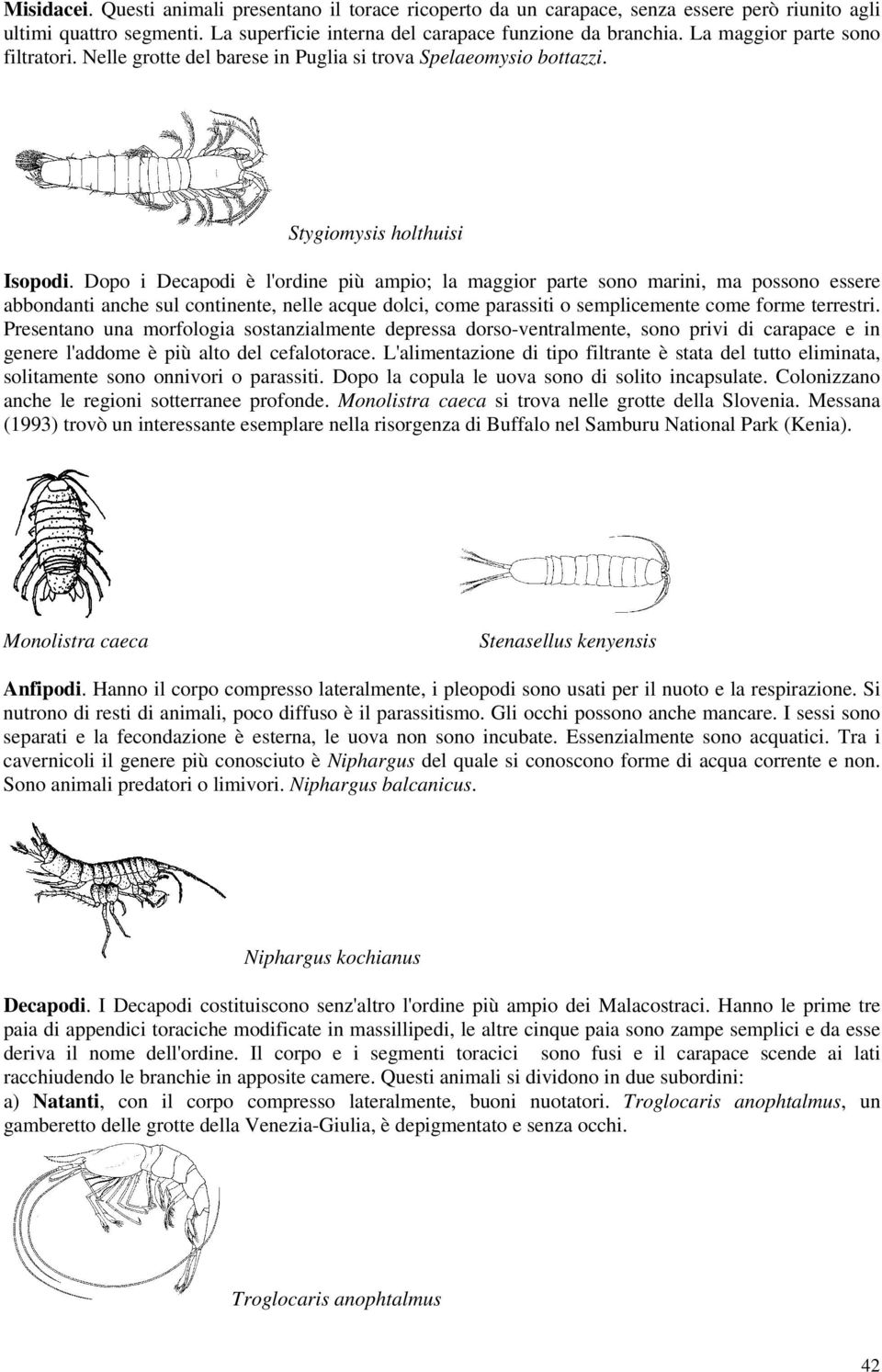 Dopo i Decapodi è l'ordine più ampio; la maggior parte sono marini, ma possono essere abbondanti anche sul continente, nelle acque dolci, come parassiti o semplicemente come forme terrestri.