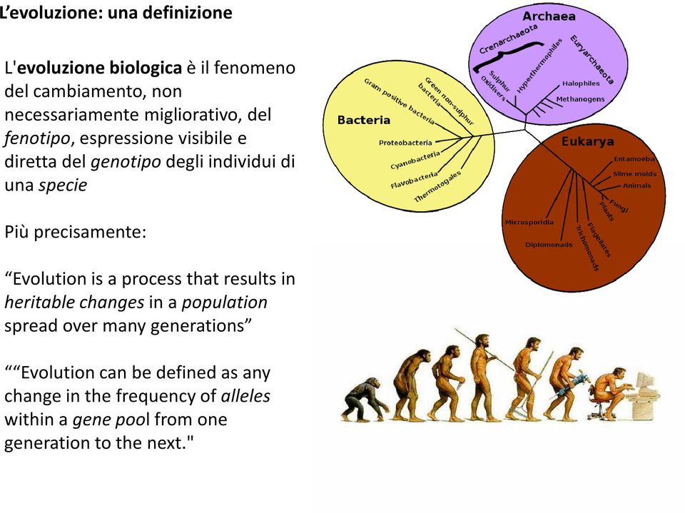 precisamente: Evolution is a process that results in heritable changes in a population spread over many
