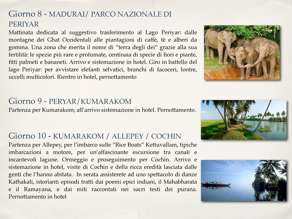 Arrivo e sistemazione in hotel. Giro in battello del lago Periyar: per avvistare elefanti selvatici, branchi di facoceri, lontre, uccelli multicolori.