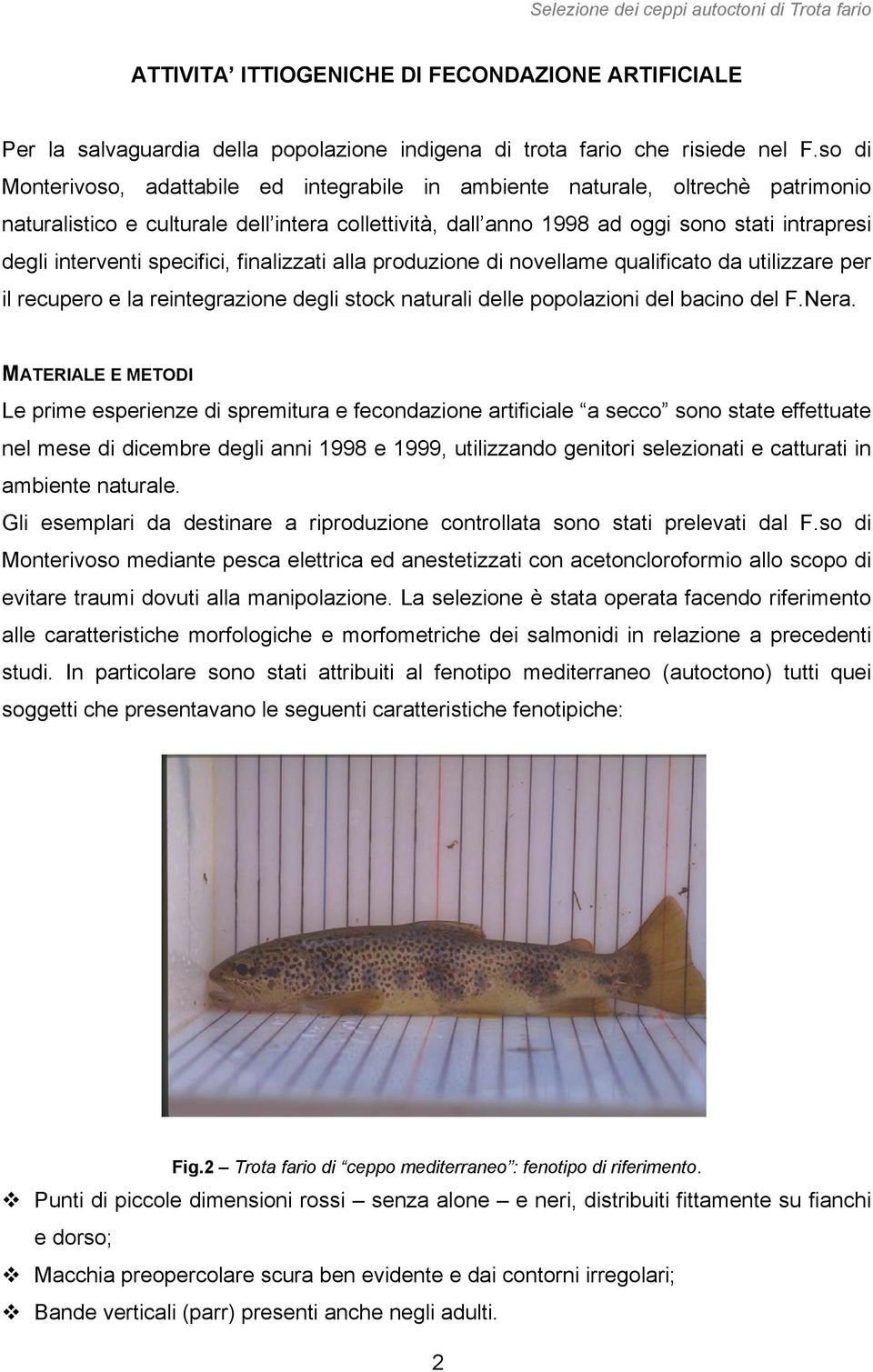 interventi specifici, finalizzati alla produzione di novellame qualificato da utilizzare per il recupero e la reintegrazione degli stock naturali delle popolazioni del bacino del F.Nera.