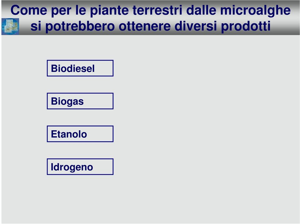 potrebbero ottenere diversi