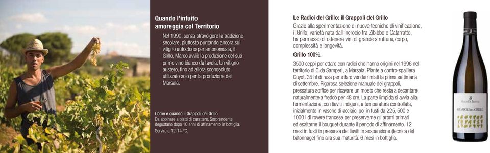 Sorprendente degustarlo dopo 10 anni di affinamento in bottiglia. Servire a 12-14 C.