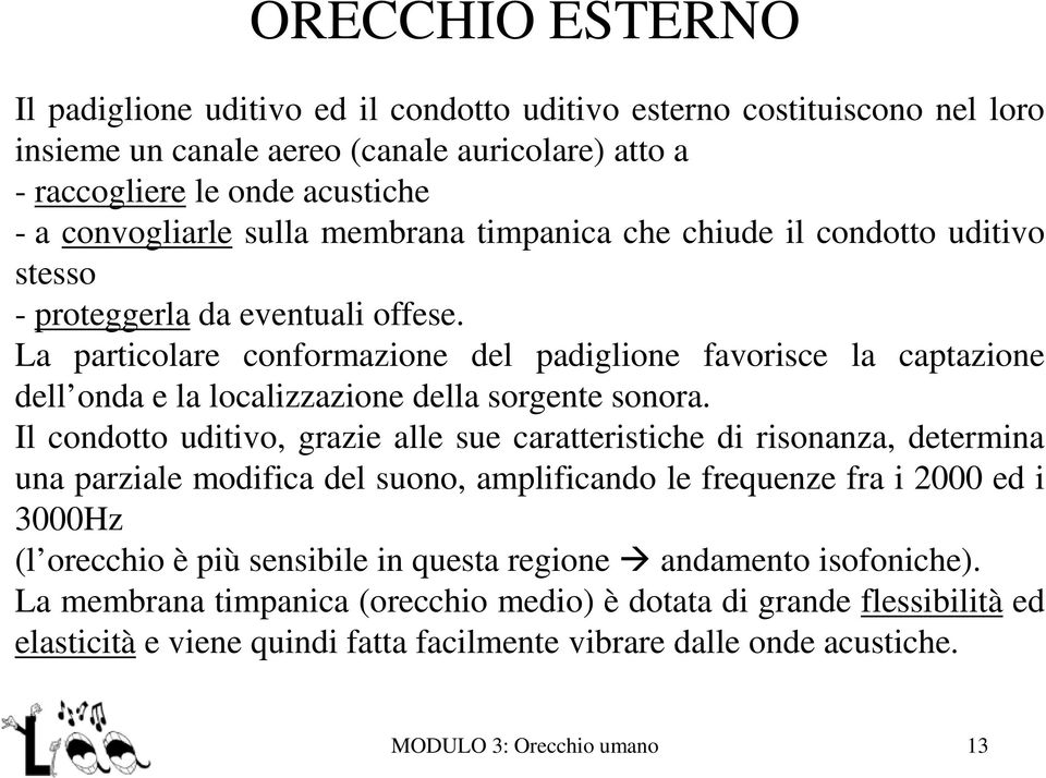 La particolare conformazione del padiglione favorisce la captazione dell onda e la localizzazione della sorgente sonora.