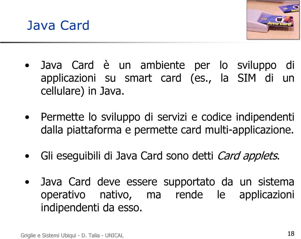 Permette lo sviluppo di servizi e codice indipendenti dalla piattaforma e permette card multi-applicazione.
