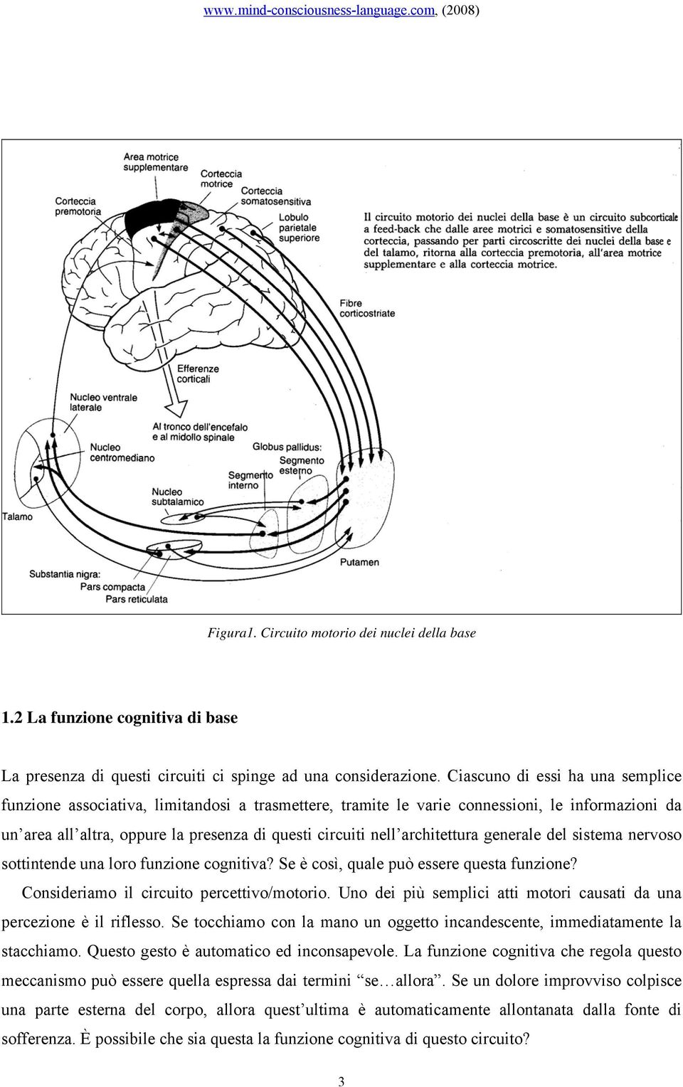 architettura generale del sistema nervoso sottintende una loro funzione cognitiva? Se è così, quale può essere questa funzione? Consideriamo il circuito percettivo/motorio.