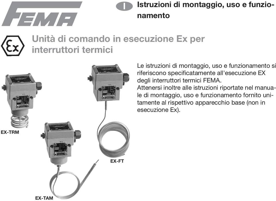 degli interruttori termici FEMA.