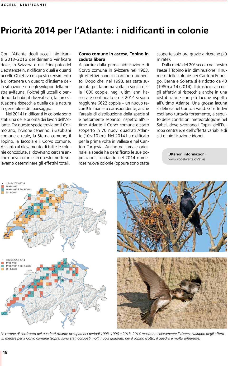 Poiché gli uccelli dipendono da habitat diversificati, la loro situazione rispecchia quella della natura in generale e del paesaggio.