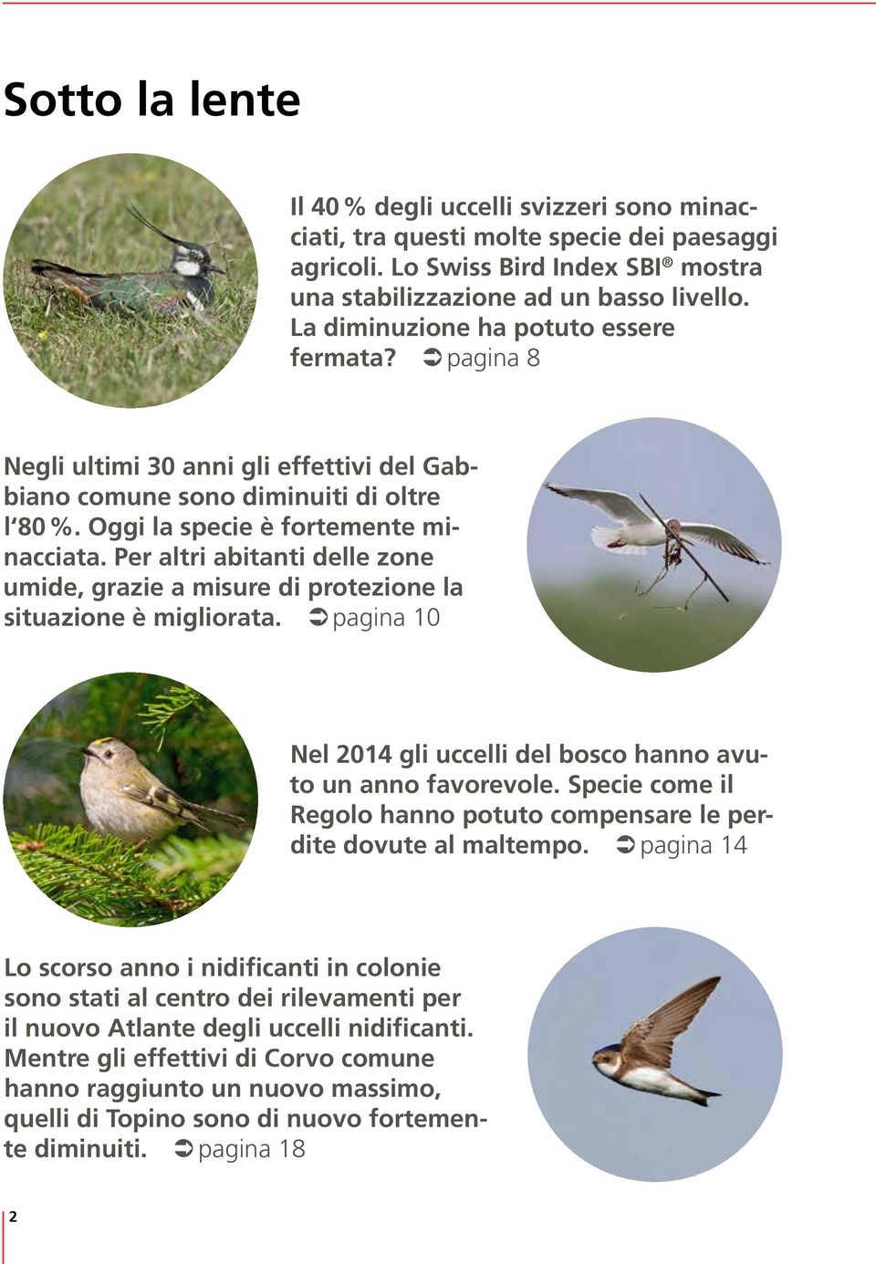 Per altri abitanti delle zone umide, grazie a misure di protezione la situazione è migliorata. pagina 10 Nel 2014 gli uccelli del bosco hanno avuto un anno favorevole.